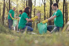 Social Services & Non-Profit